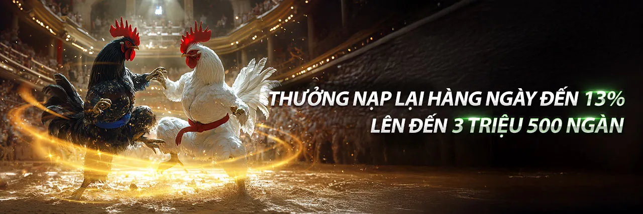 Hình ảnh chủ đạo của trận đá gà trực tuyến kịch tính tại CE88